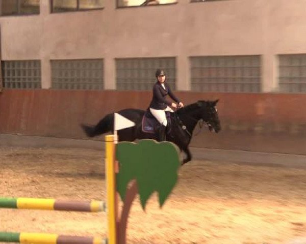 Hallenturnier Leverkusen-Rheindorf 2015