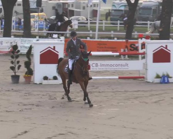 Lenklarer Reitertage 2015