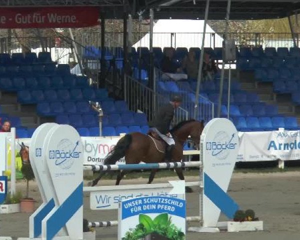 Lenklarer Reitertage 2015