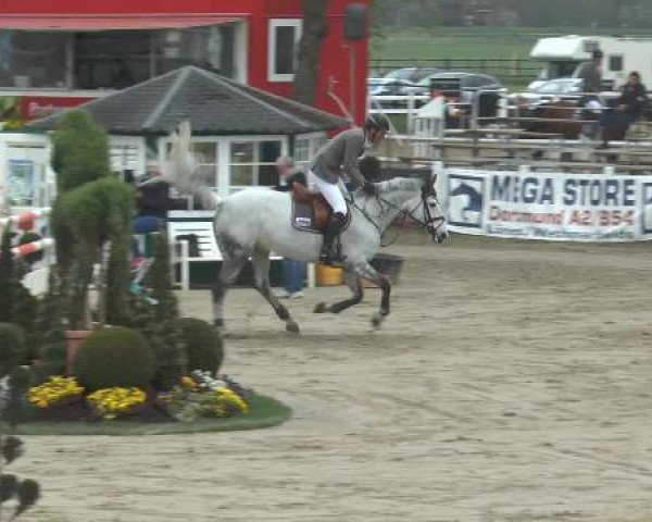 Reitturnier Werne-Lenklar 2015