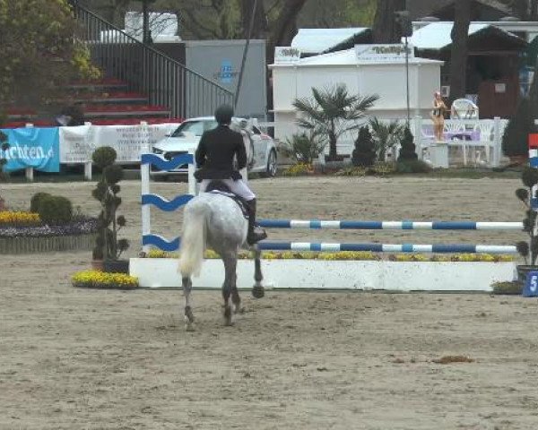 Lenklarer Reitertage 2015