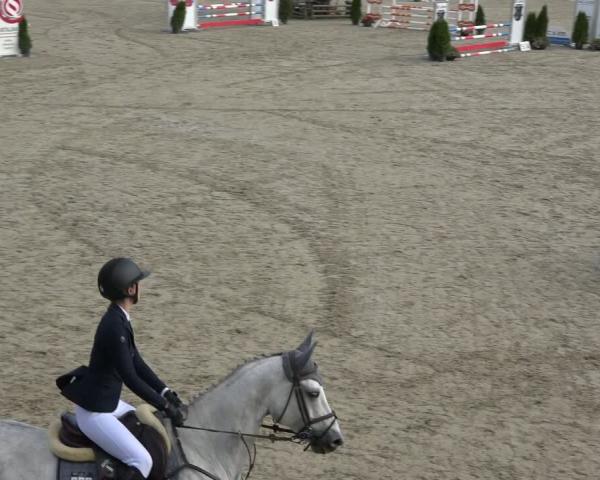 Concurso de Hipismo Taufkirchen-Vils/Obb. 2026