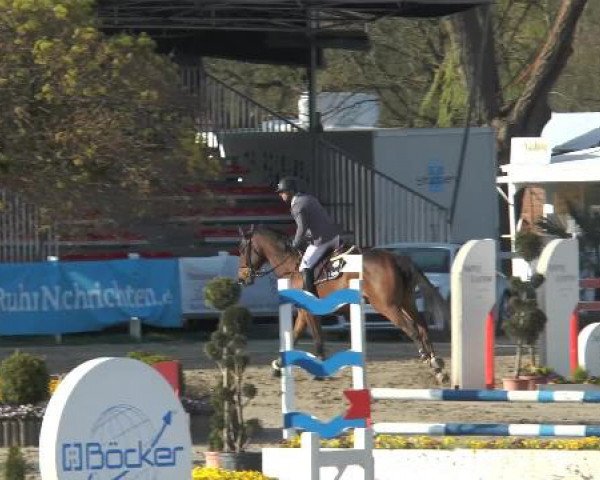 Lenklarer Reitertage 2015