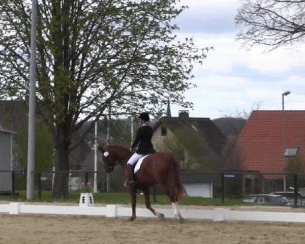 Spenge-Wallenbrück 2015