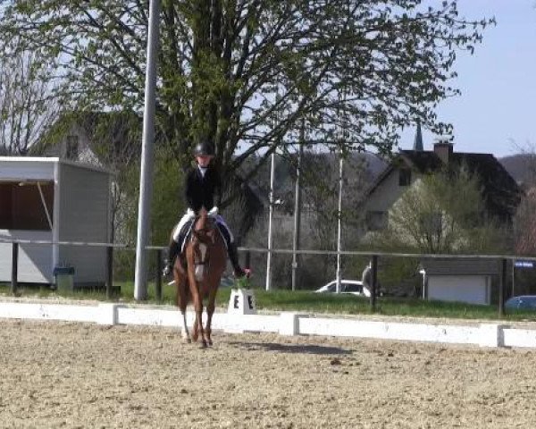 Spenge-Wallenbrück 2015