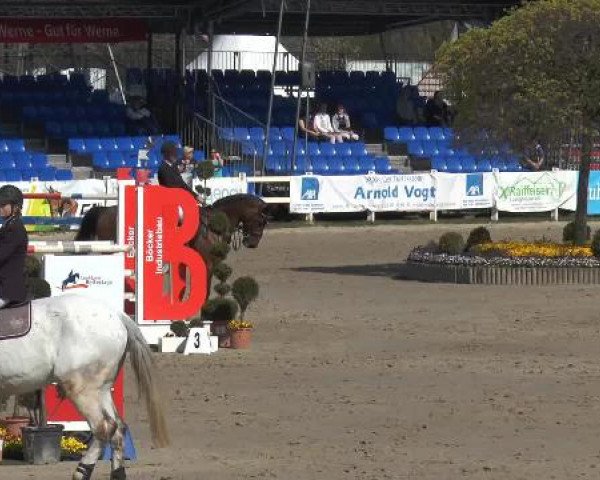 Reitturnier Werne-Lenklar 2015