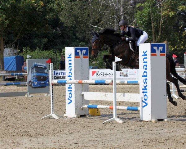 jumper Mila 70 (Oldenburg, 2014, from Messenger)