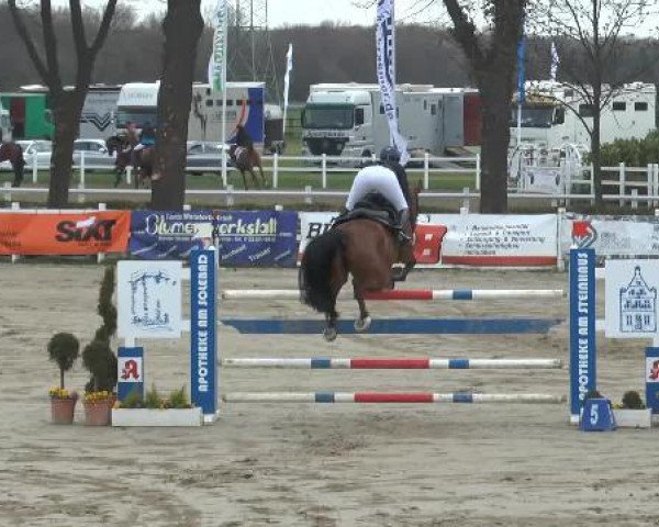 Reitturnier Werne-Lenklar 2015