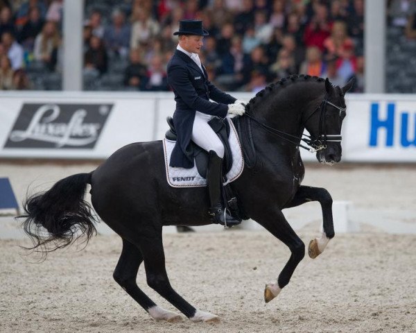 stallion Totilas (KWPN (Royal Dutch Sporthorse), 2000, from Gribaldi)