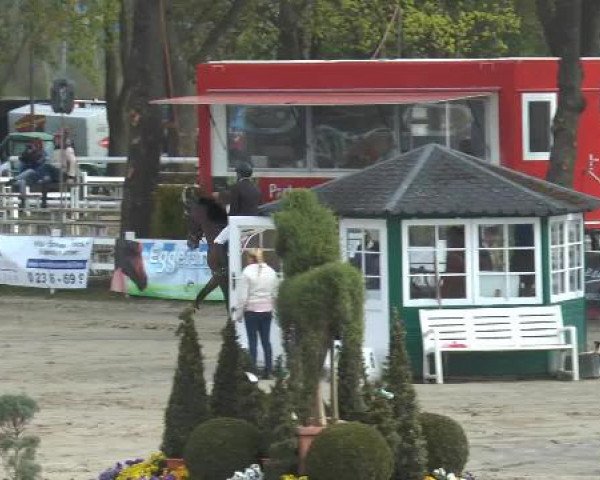 Lenklarer Reitertage 2015