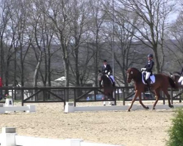 Spenge-Wallenbrück 2015