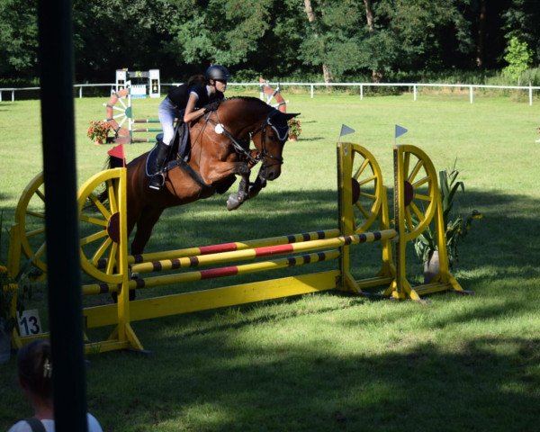 jumper Phileas (unknown, 2007)