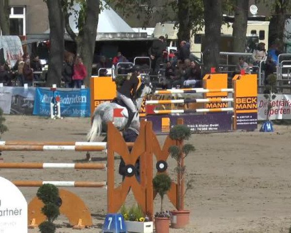 Reitturnier Werne-Lenklar 2015
