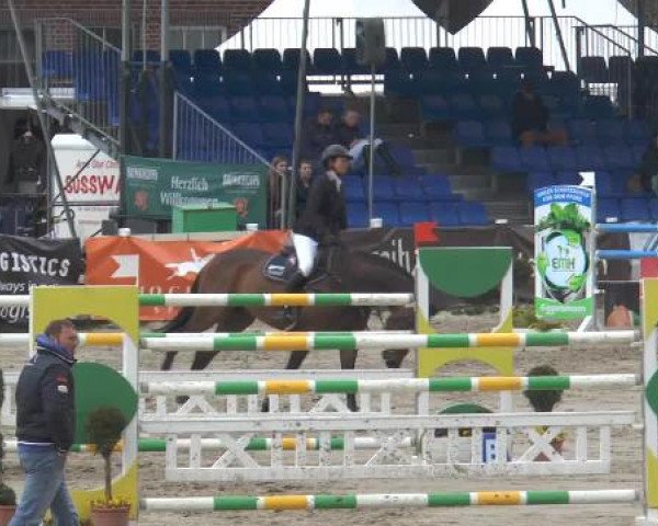 Lenklarer Reitertage 2015