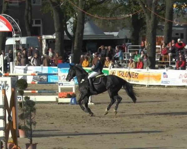Reitturnier Werne-Lenklar 2015