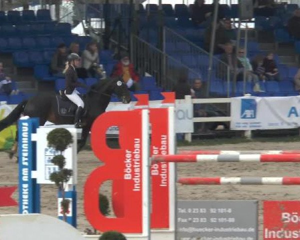 Lenklarer Reitertage 2015