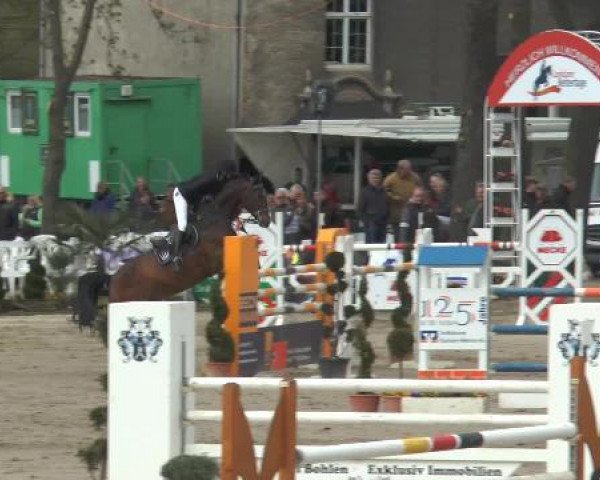 Lenklarer Reitertage 2015