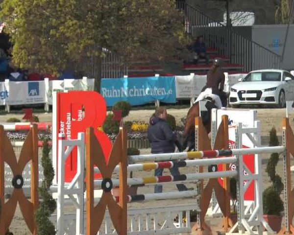 Reitturnier Werne-Lenklar 2015