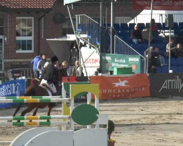 Lenklarer Reitertage 2015