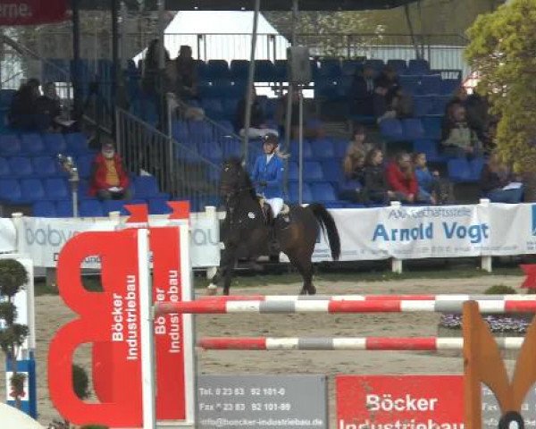 Lenklarer Reitertage 2015
