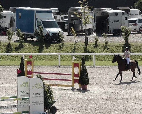 Pferdesporttage Bülach 2021