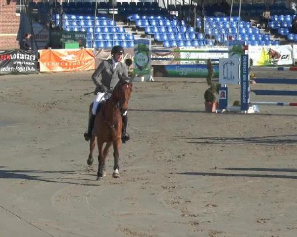 Lenklarer Reitertage 2015