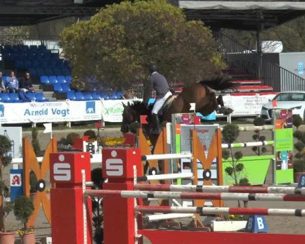 Lenklarer Reitertage 2015