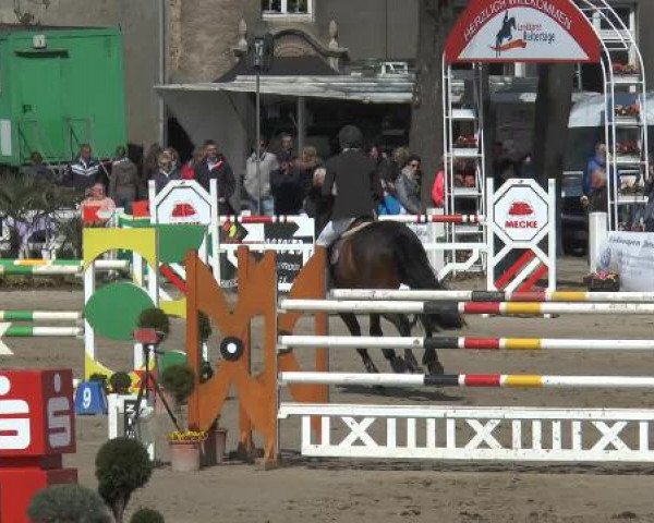 Reitturnier Werne-Lenklar 2015