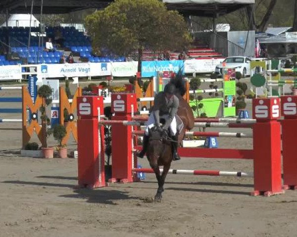 Reitturnier Werne-Lenklar 2015