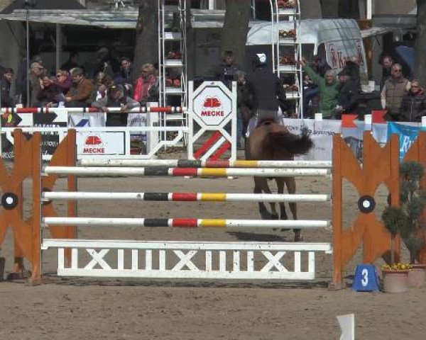 Lenklarer Reitertage 2015
