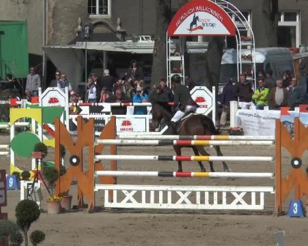 Lenklarer Reitertage 2015