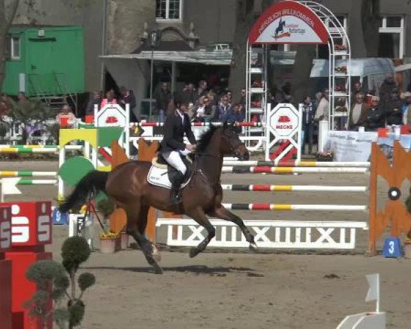 Reitturnier Werne-Lenklar 2015
