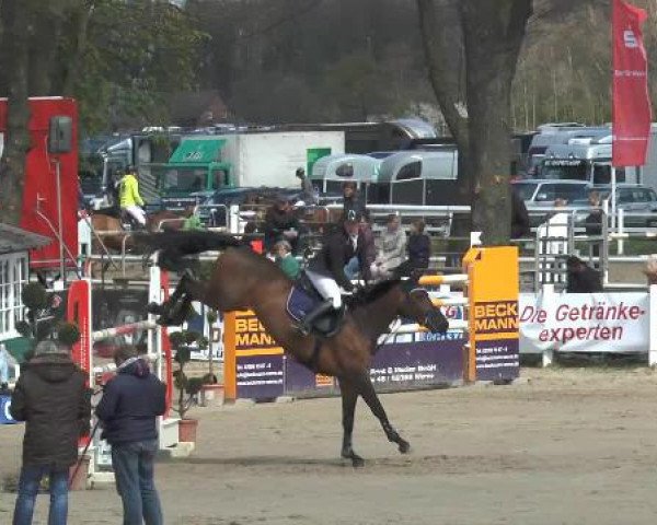 Lenklarer Reitertage 2015