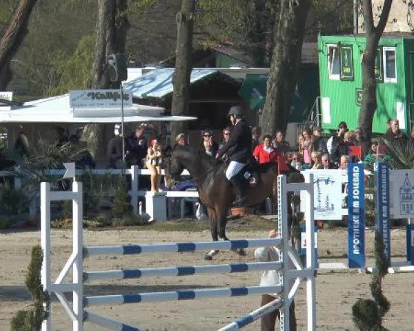 Lenklarer Reitertage 2015