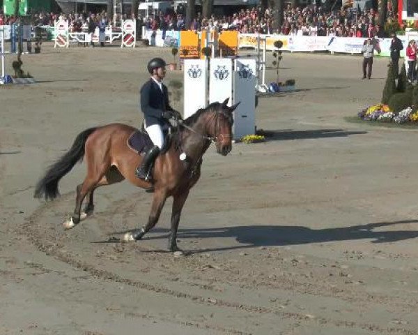 Lenklarer Reitertage 2015