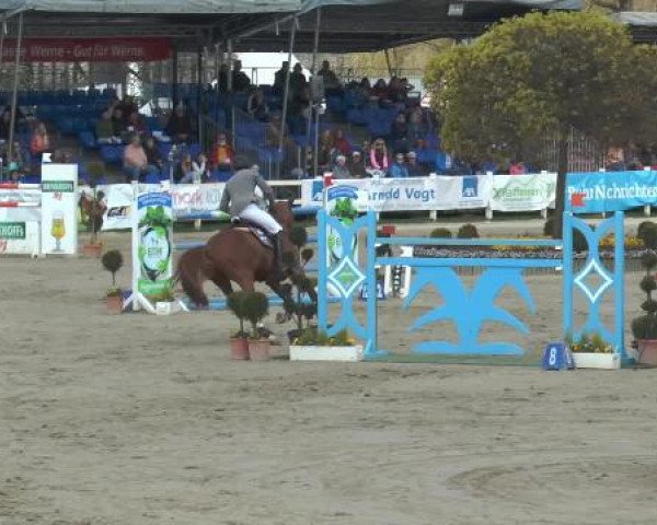 Reitturnier Werne-Lenklar 2015