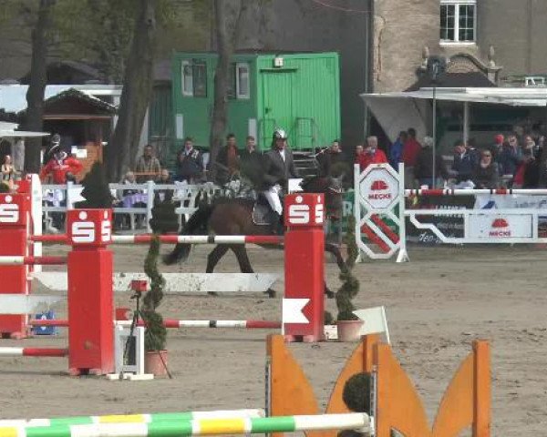 Lenklarer Reitertage 2015