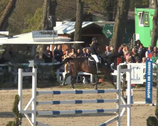 Reitturnier Werne-Lenklar 2015