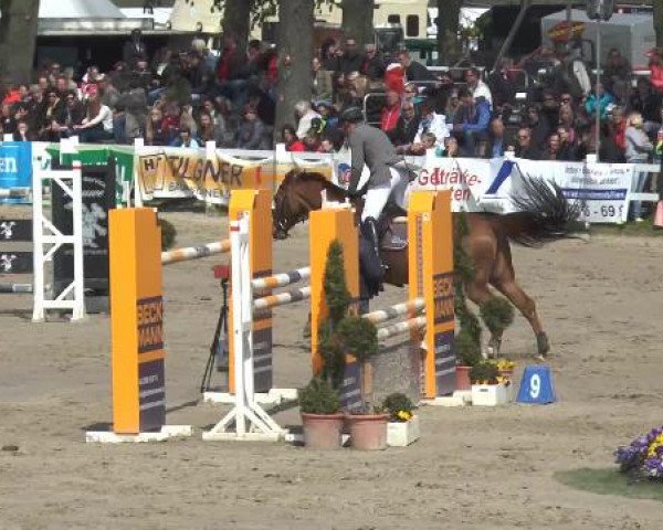 Reitturnier Werne-Lenklar 2015