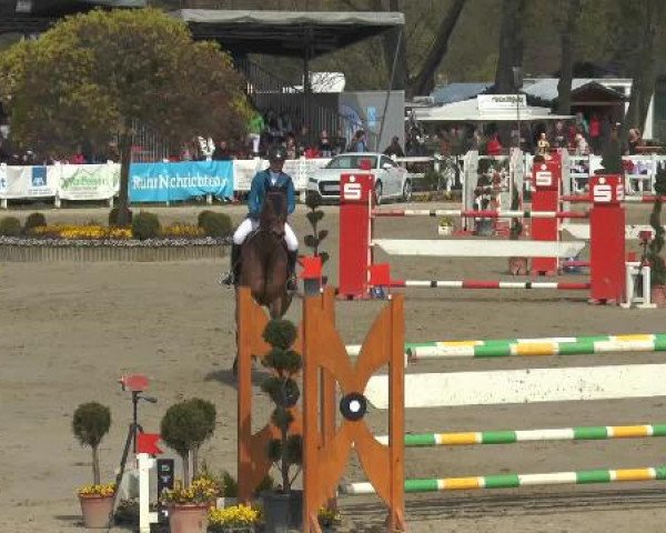 Reitturnier Werne-Lenklar 2015
