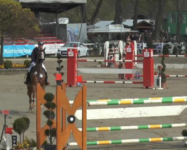 Reitturnier Werne-Lenklar 2015