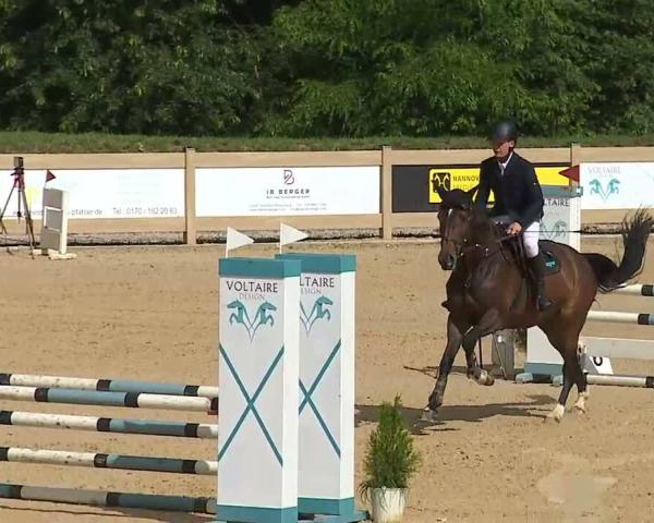 Torneo Equestre Tiefenhof/Opf. 2026