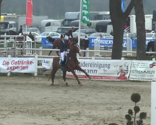 Lenklarer Reitertage 2015