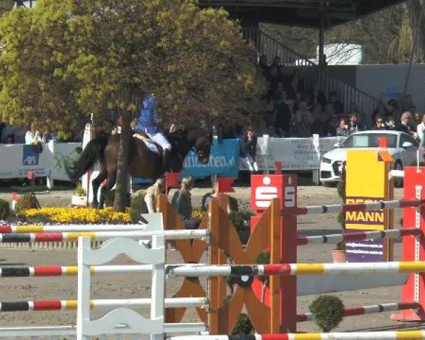 Reitturnier Werne-Lenklar 2015