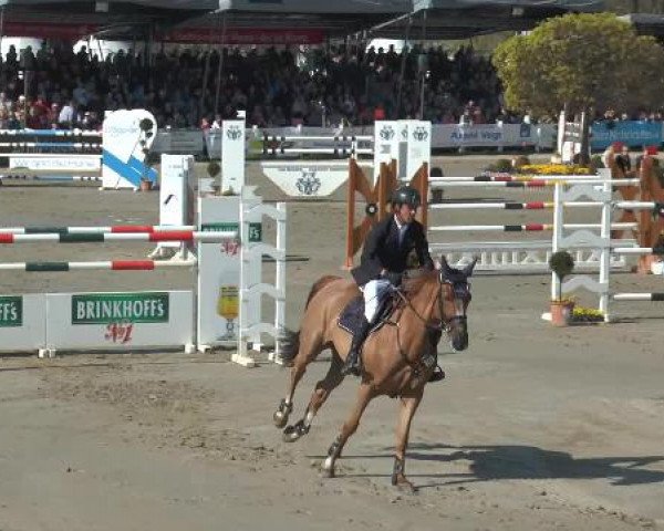 Lenklarer Reitertage 2015
