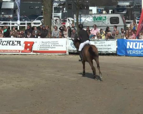 Lenklarer Reitertage 2015