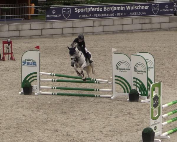Rideturnering Dorfchemnitz 2026