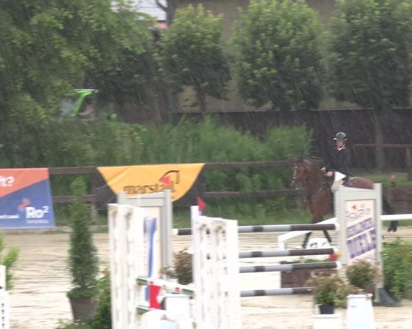 Equestrian Tournament Schönfeld 2026
