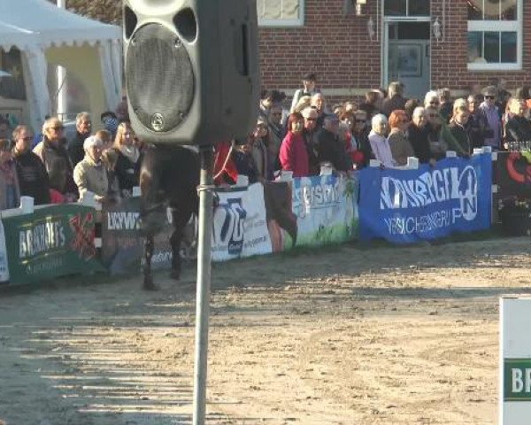 Reitturnier Werne-Lenklar 2015