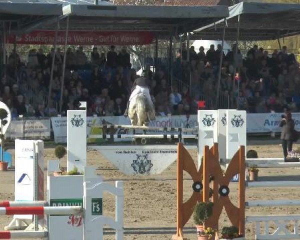 Lenklarer Reitertage 2015